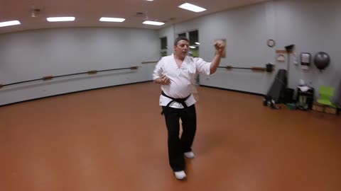 Kamishin-ryu Karate kata Embi