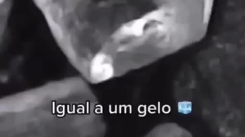 AÇÚCAR NO MICROSCÓPIO!! 🧐🧐