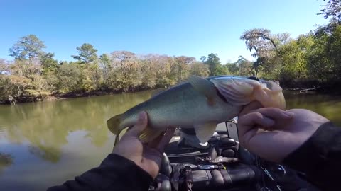 How To Fish Crankbaits (Bass Fishing Tips)