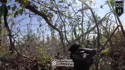 How the occupiers were burned out of the forest belt near Andriivka