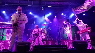 Here Come The Mummies - LIVE @ Avondale (Freak Flag)