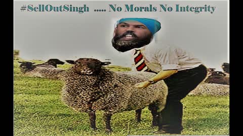 WHERE DID THE SHEEP GO ? #SellOutSingh