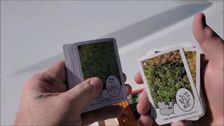 Edible Wild Foods Playing Cards