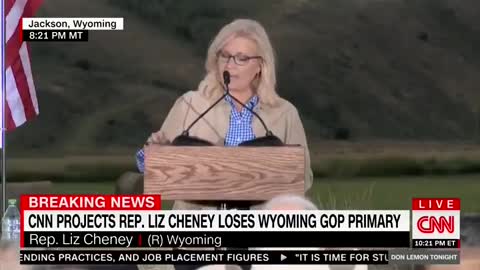 Narcissist Liz Cheney Compares Herself To Ulysses S. Grant During Insane Speech