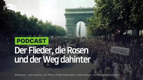 Der Flieder, die Rosen und der Weg dahinter