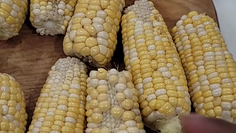 Corn Harvest