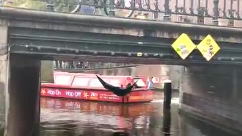 Protesters dive into Amsterdam canal during protest