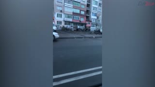 Horse Running Down Street