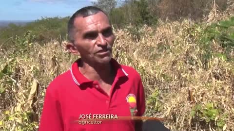 Tanque do Piauí é destaque nacional pela produção da Fava