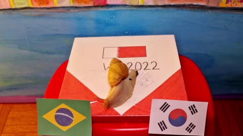 Brazil Vs South Korea - Animals World Cup 2022 Prediction