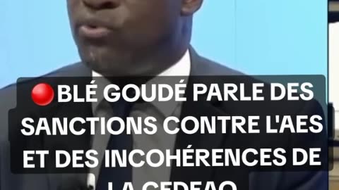 LES SANCTIONS DE LA CEDEAO SUR LES ETATS DE L'AES ONT ECHOUE BLE GOUDE