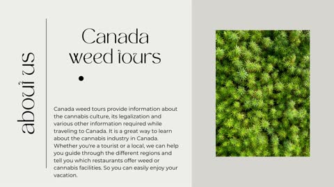 Weed laws Canada