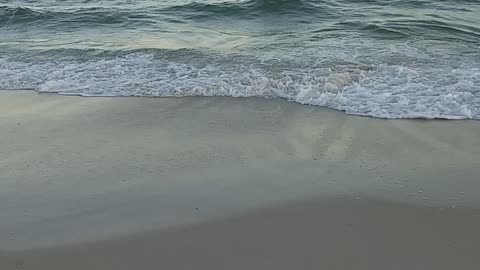 Landing a sting ray