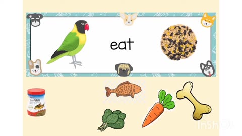 Pets favorite foods