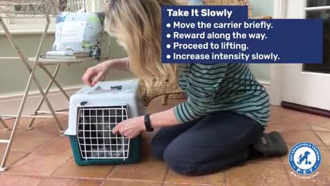 Training your cat | to accept theircat carrier