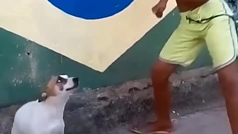 Dog's Hilarious dance with boy Funny moment