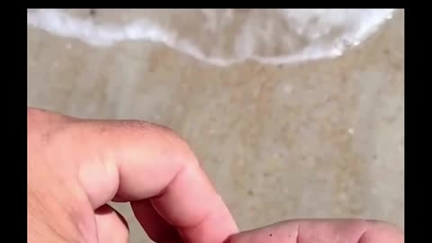 Lucky Man Finds $40,000 Ring On The Beach