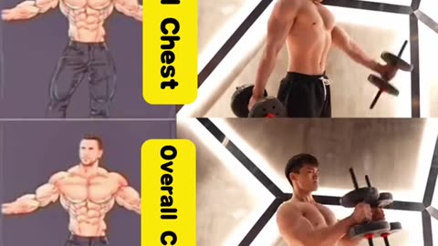 The most effective method of chest workout