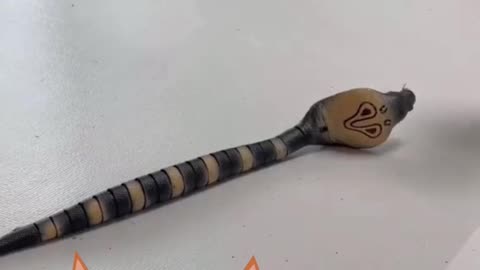 CAT PLAYING WITH TOY SNAKE !- FUNNY CATS AND CUTE #SHORTS