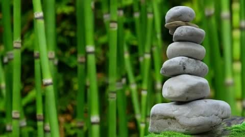 Relax music with the sounds of nature Bamboo Water Fountain.