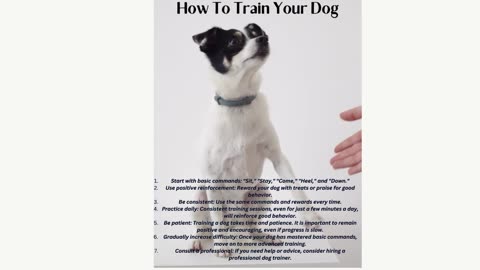 Dog Training