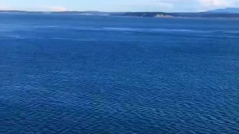 Enjoying the view towards the Olympic Peninsula and Mountains