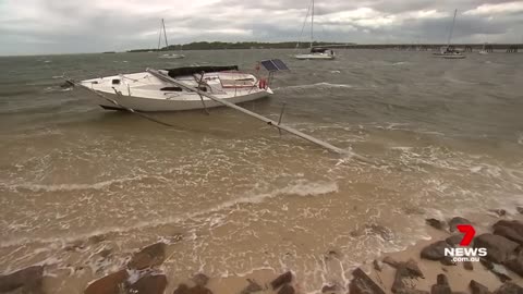 Wild winds wreak havoc in South East Queensland _ 7NEWS