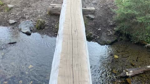 Central Oregon - Three Sisters Wilderness - Green Lakes - First Log Crossing