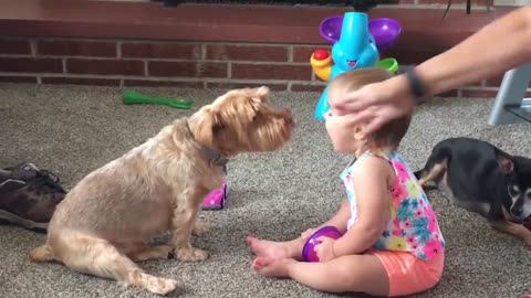 Cutest Babies Cutest Babies Play With Dogs And Cats Compilation || Cool Peachy