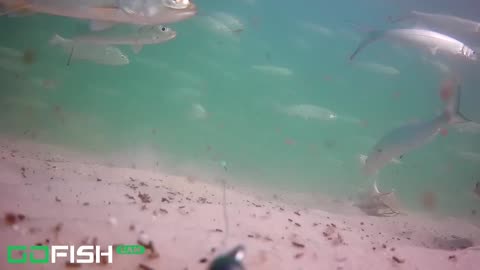 Attached an Underwater Camera to my Fishing Line