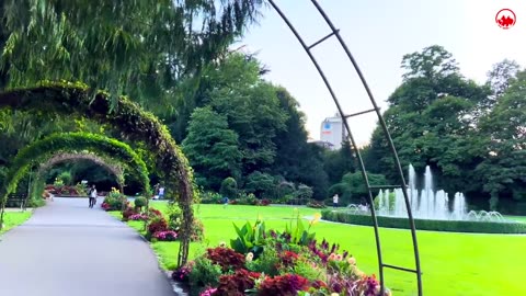 Peaceful evening walk in Swiss Town INTERLAKEN 🇨🇭Switzerland #europe #swiss