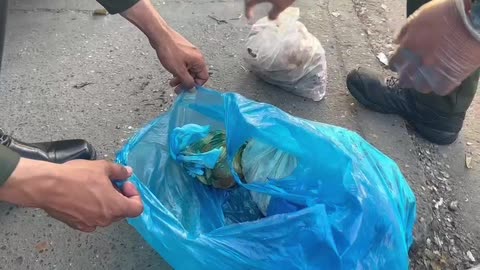 Incautan 2 kilos de carne de tortuga