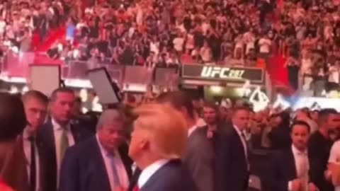 President Trump UFC 287