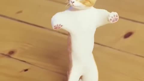 Cat real dancing clips omg moment funny cat video #catdancing #catshorts #cats