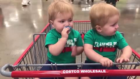 Best Videos Of Funny Twin Babies. Baby Video