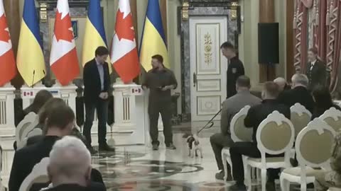 Wag the Dog -Zelensky