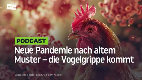 Neue Pandemie nach altem Muster – die Vogelgrippe kommt