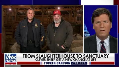 Tucker Carlson Tonight [Full Episode: March 09, 2023]