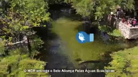 Bolsonaro: Selo Aliança pelas Águas