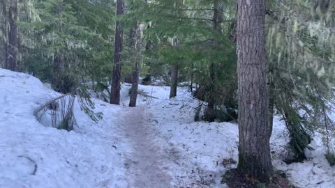 Ice Hike Exploring an Old Growth Forest – Tamanawas Falls – Mount Hood – Oregon – 4K