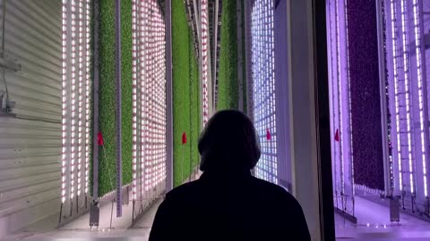 Vertical farm gets $400 million boost from Walmart