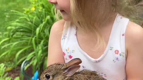 Lily put the baby bunny