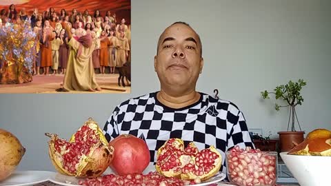 Romã um Fruto que tem tratado de Doenças há Milênios