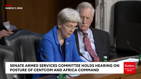 Elizabeth Warren Questions Witness On Ensuring US Weapons Do Not Commit Civilian Harm