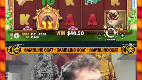 Adin Ross Gets Roasted While Playing Slots #shorts