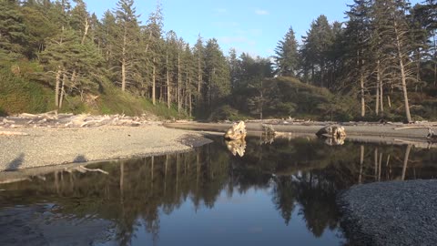 Olympic National Park Beaches, Washington, USA [Amazing Places 4K]