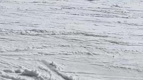 Skier Loses Control and Collides with Another Skier