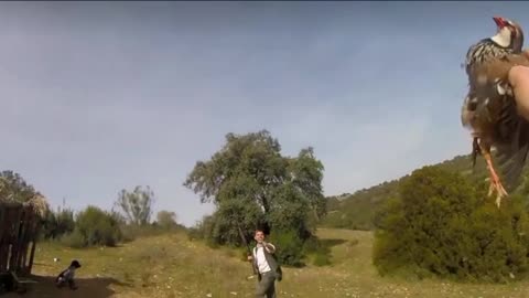 Hunter Catches Bird Shot From the Sky