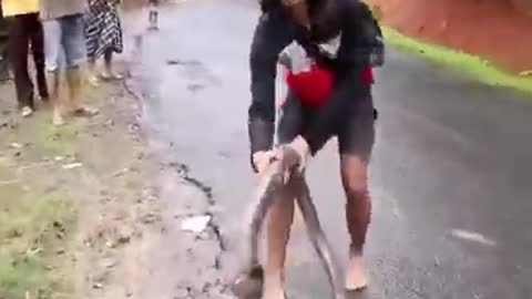 Fearless Snake Whisperer: Watch the Snake Girl Catch a Serpent Barehanded!