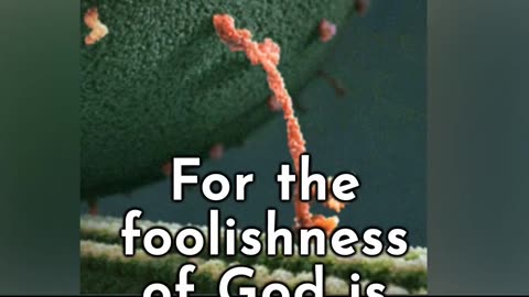 Foolishness of God – 1 Corinthians 1 Apostle Paul #wisdom #foolishness #strength #weakness